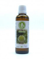 Bělotrn kulatohlavý